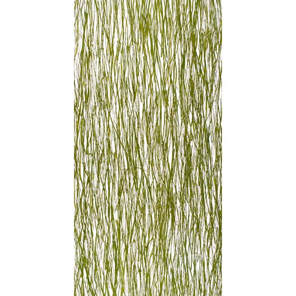 Panel Translúcido Lumicor SEAWEED, medida 1219 x 2438mm, espesor 6 mm