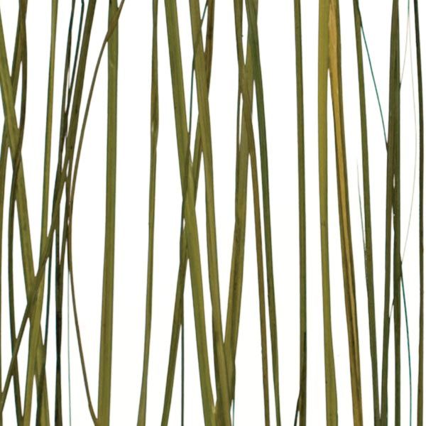 Panel Translúcido COASTAL acabado gloss/mate, medida 1220 x 2440 mm, espesor  4mm.