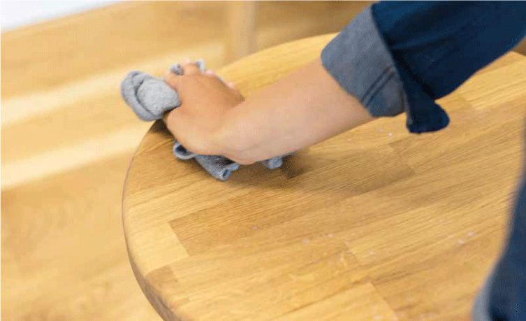 Surface care spray (Presentación de 750ml)