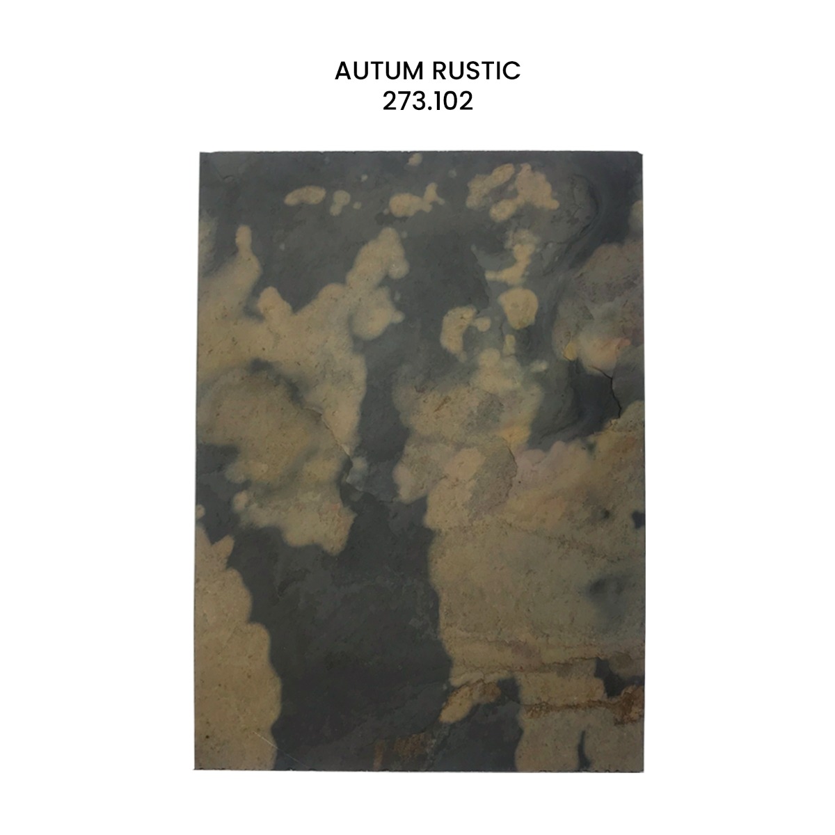 Carpeta con muestras de laja de piedra STONE VENEER