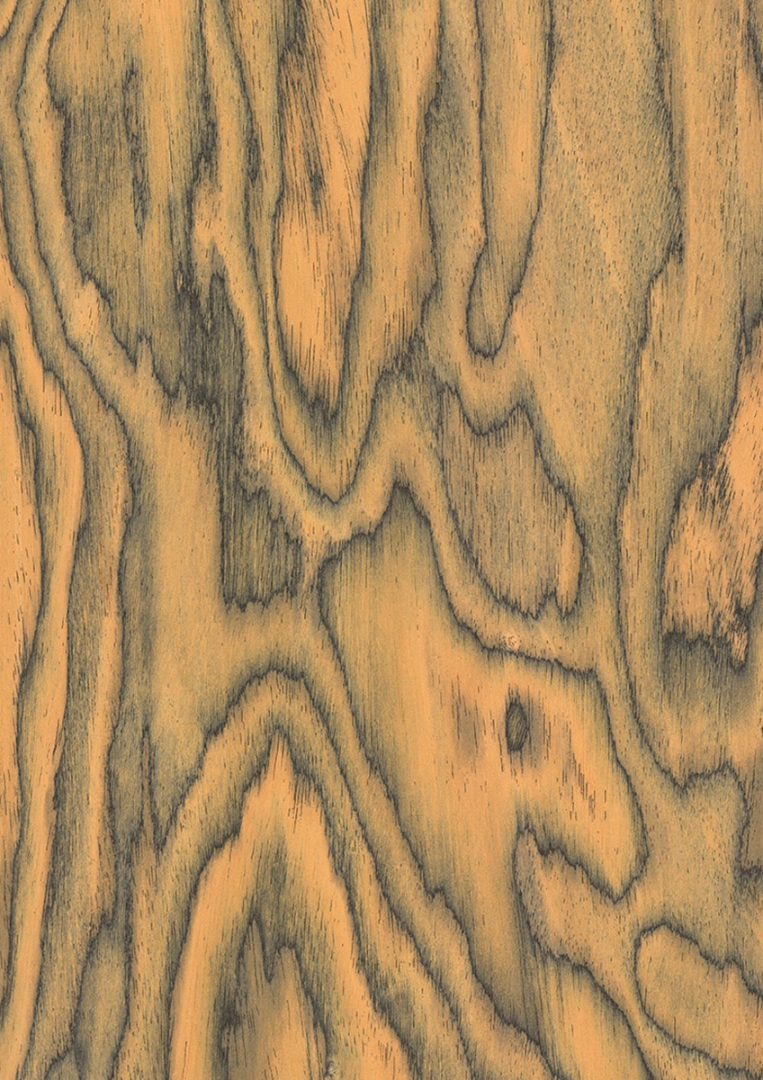 Sottsass Orange, diseñado por Ettore Sottsass - Chapa de madera precompuesta ALPI | m2