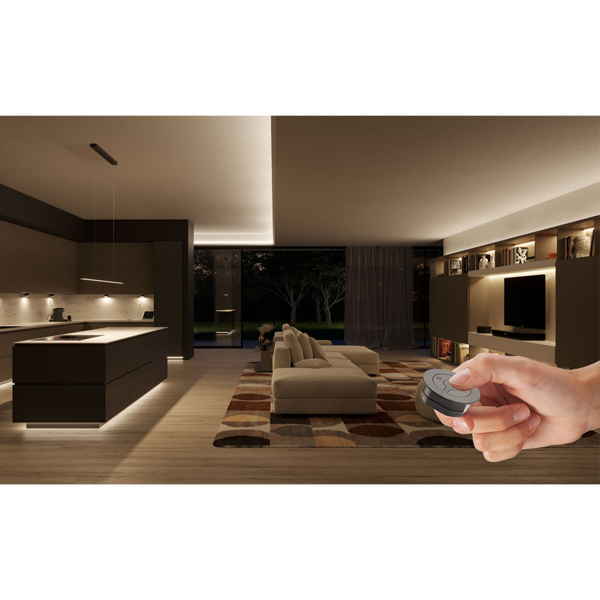 Switch inalámbrico GIRO F y receptor, color negro