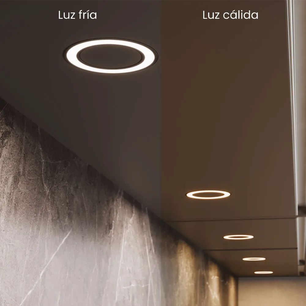 Switch TOM D-Motion para sistemas de iluminación M24