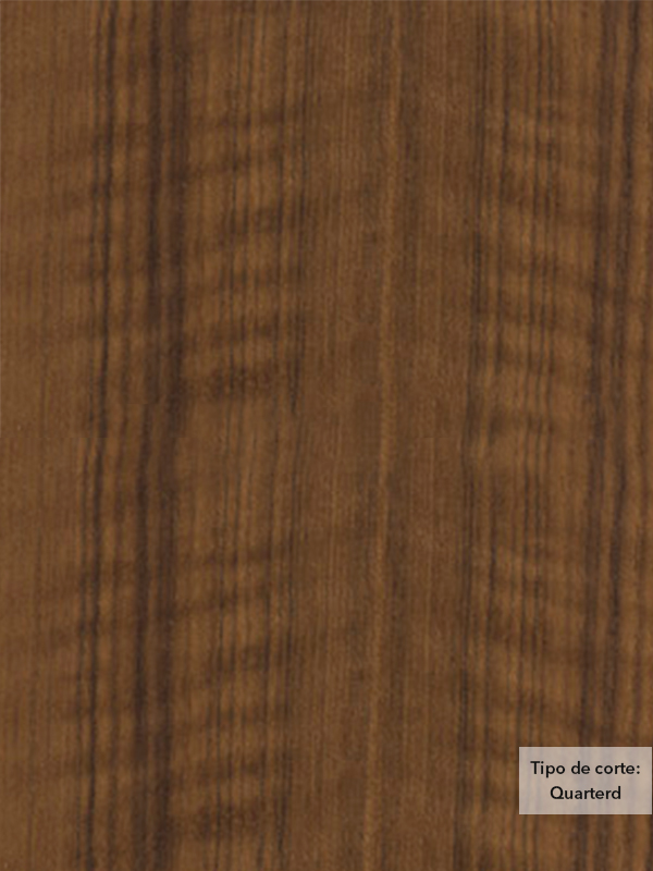 Chapa de madera natural de Teka con respaldo de papel