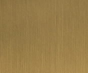 310Antique Brushed Brassn