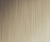 724Champagne Brushed Aluminum