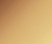 934Light Bronze Aluminum